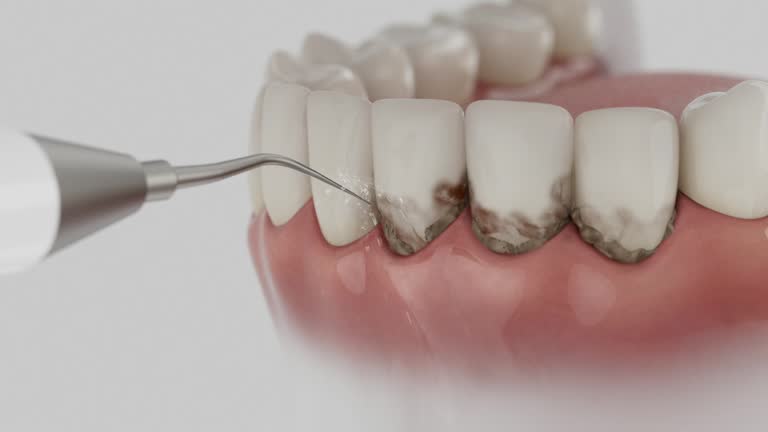 Reliable Dental contractor in Wheeling, WV by Dentist Open Now